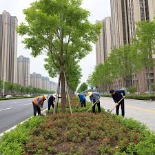 贝博艾佛森 乌鲁木齐市政绿化工程